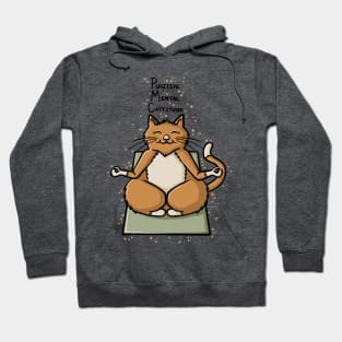 Positive Mental Cattitude Funny Yoga Cat Digital Illustration Hoodie